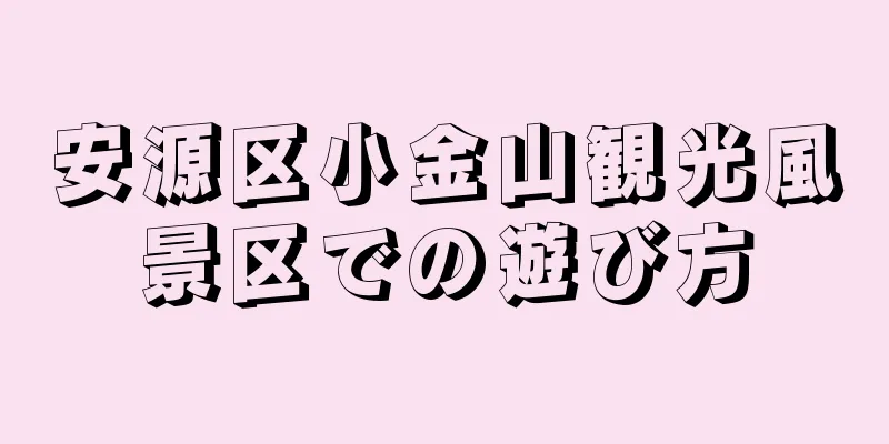 安源区小金山観光風景区での遊び方