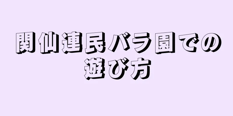 関仙連民バラ園での遊び方