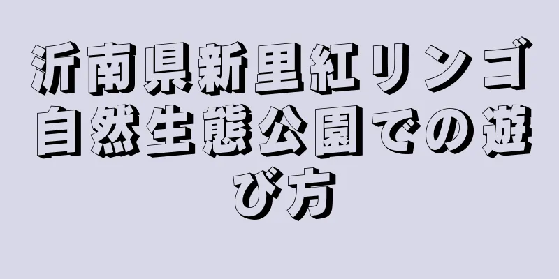 沂南県新里紅リンゴ自然生態公園での遊び方