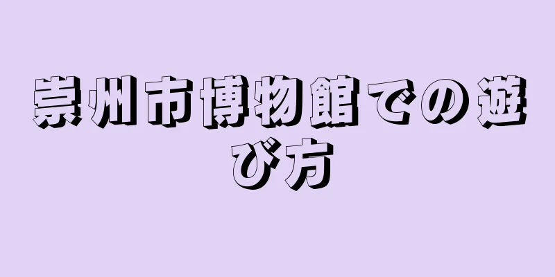 崇州市博物館での遊び方