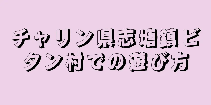 チャリン県志塘鎮ビタン村での遊び方