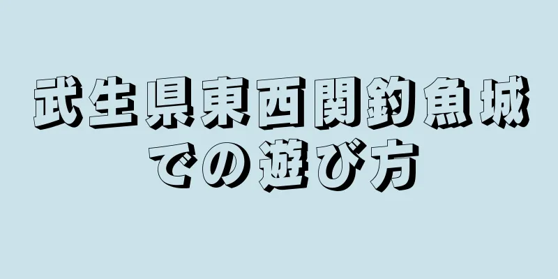 武生県東西関釣魚城での遊び方