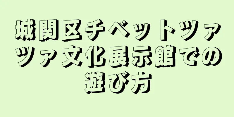 城関区チベットツァツァ文化展示館での遊び方