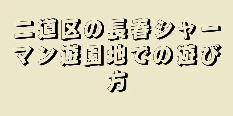 二道区の長春シャーマン遊園地での遊び方