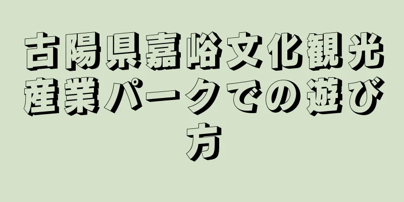 古陽県嘉峪文化観光産業パークでの遊び方