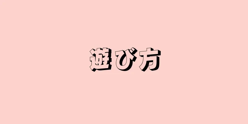 遊び方