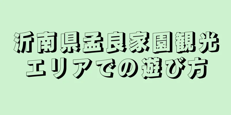沂南県孟良家園観光エリアでの遊び方
