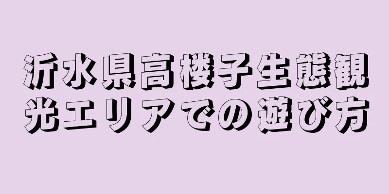 沂水県高楼子生態観光エリアでの遊び方