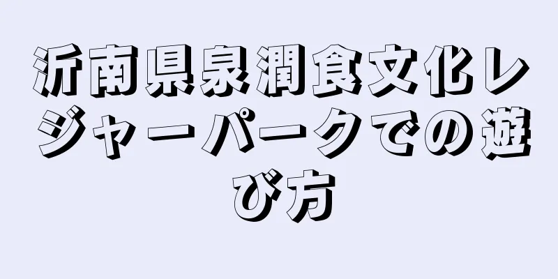 沂南県泉潤食文化レジャーパークでの遊び方