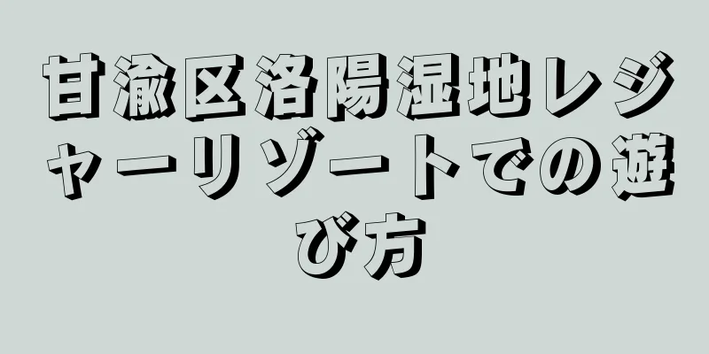 甘渝区洛陽湿地レジャーリゾートでの遊び方