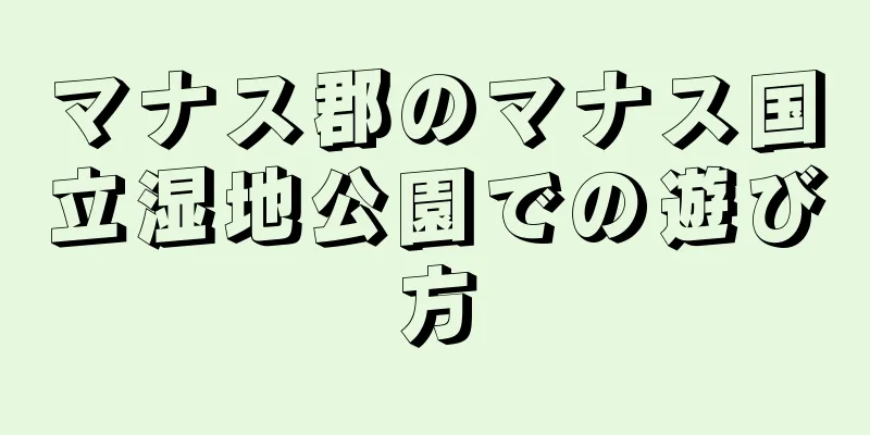 マナス郡のマナス国立湿地公園での遊び方