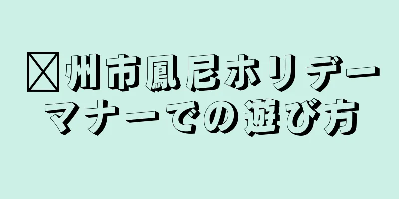 嵊州市鳳尼ホリデーマナーでの遊び方