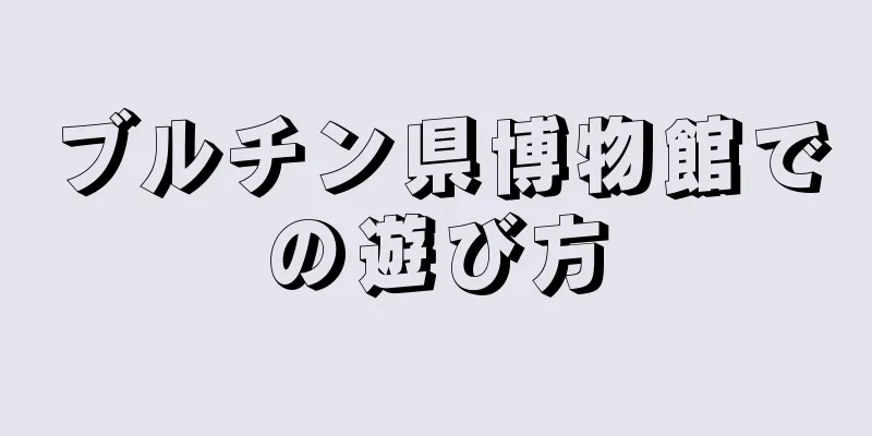 ブルチン県博物館での遊び方