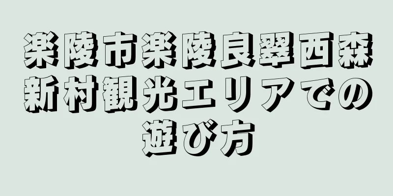 楽陵市楽陵良翠西森新村観光エリアでの遊び方
