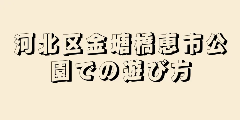河北区金塘橋恵市公園での遊び方