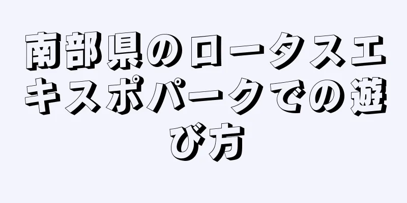 南部県のロータスエキスポパークでの遊び方