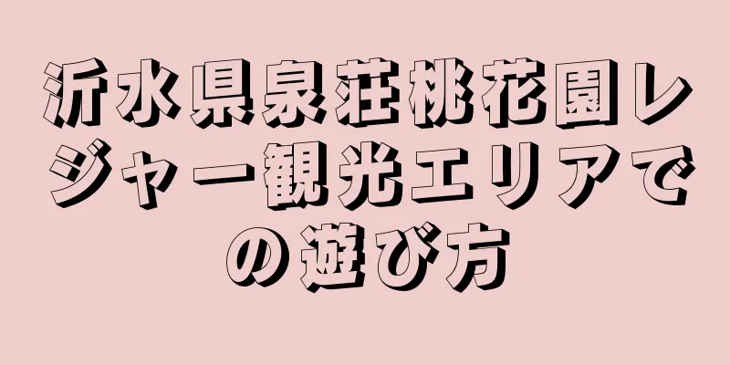 沂水県泉荘桃花園レジャー観光エリアでの遊び方