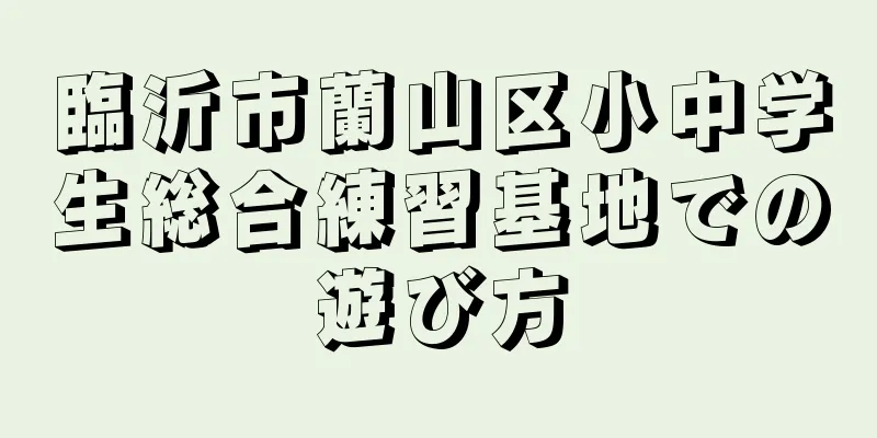 臨沂市蘭山区小中学生総合練習基地での遊び方
