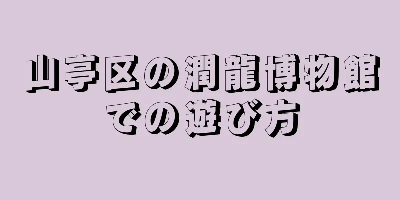 山亭区の潤龍博物館での遊び方