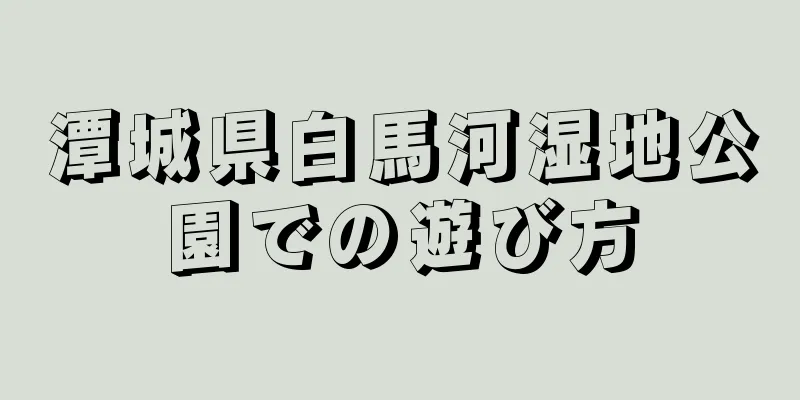 潭城県白馬河湿地公園での遊び方