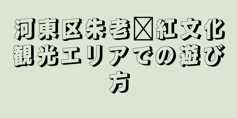 河東区朱老达紅文化観光エリアでの遊び方