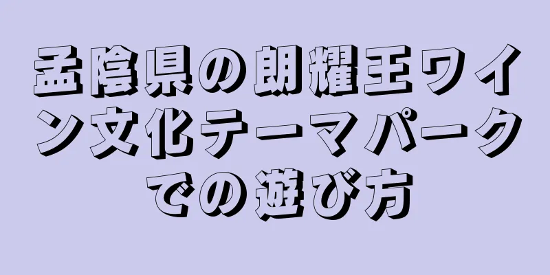 孟陰県の朗耀王ワイン文化テーマパークでの遊び方