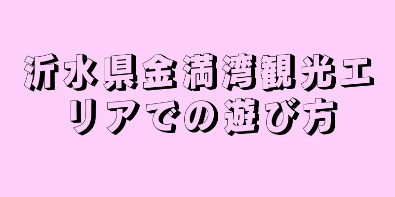 沂水県金満湾観光エリアでの遊び方