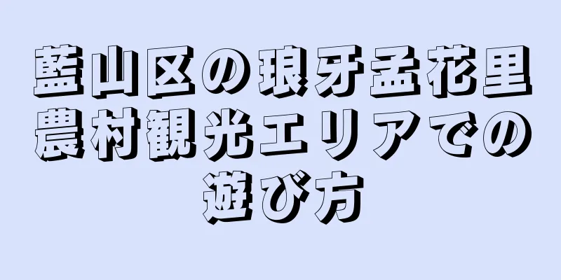 藍山区の琅牙孟花里農村観光エリアでの遊び方