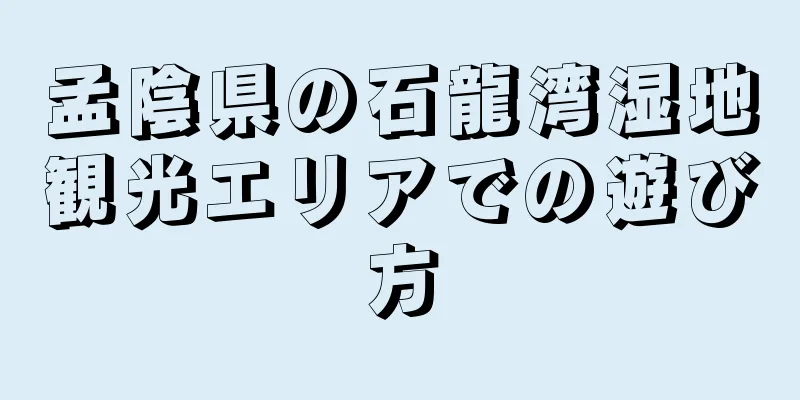 孟陰県の石龍湾湿地観光エリアでの遊び方