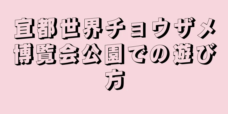 宜都世界チョウザメ博覧会公園での遊び方