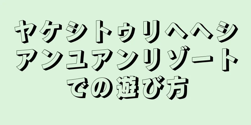 ヤケシトゥリヘヘシアンユアンリゾートでの遊び方