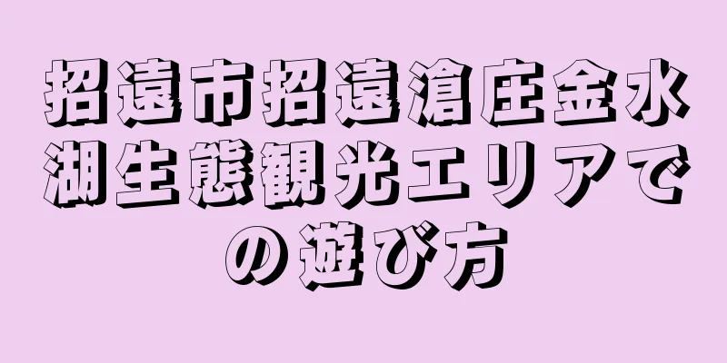 招遠市招遠滄庄金水湖生態観光エリアでの遊び方