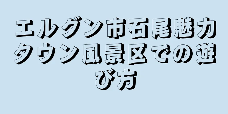 エルグン市石尾魅力タウン風景区での遊び方
