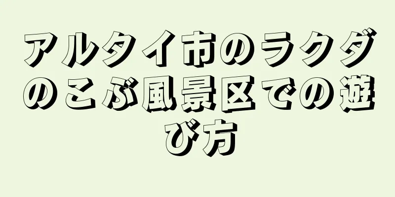 アルタイ市のラクダのこぶ風景区での遊び方