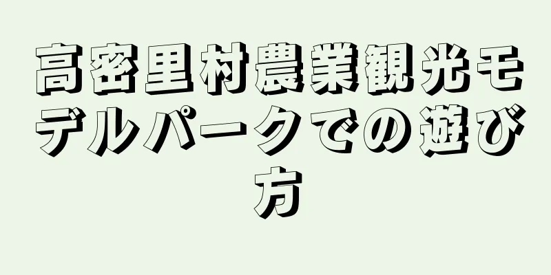 高密里村農業観光モデルパークでの遊び方