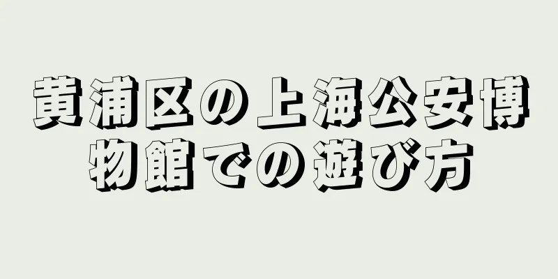 黄浦区の上海公安博物館での遊び方