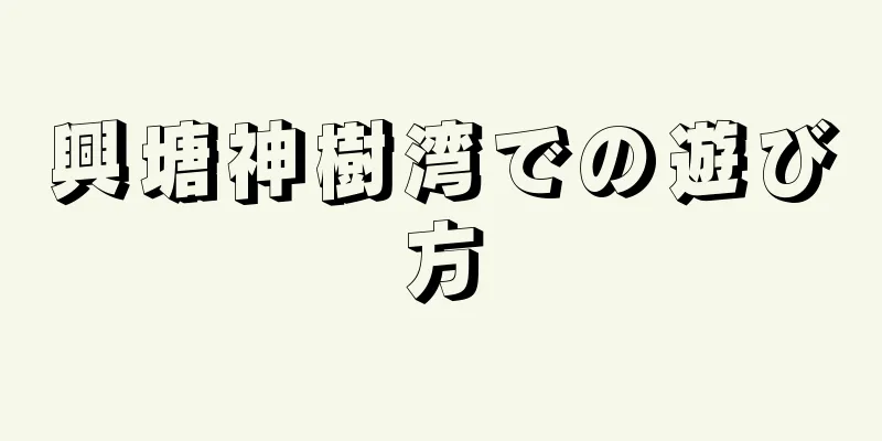 興塘神樹湾での遊び方