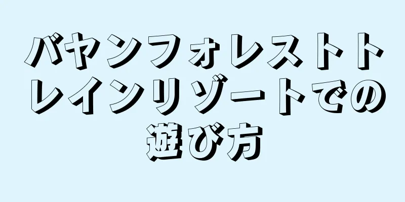 バヤンフォレストトレインリゾートでの遊び方