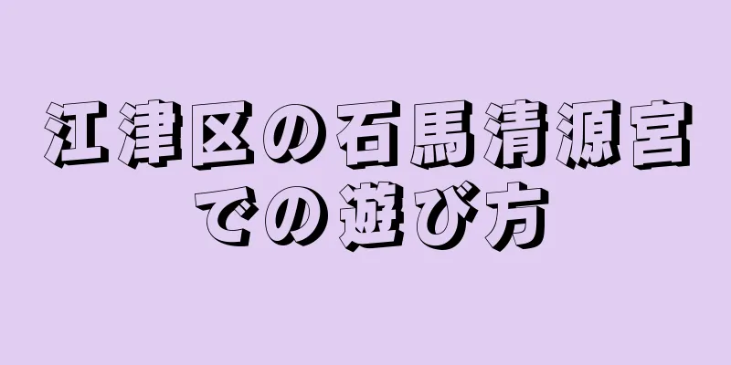 江津区の石馬清源宮での遊び方