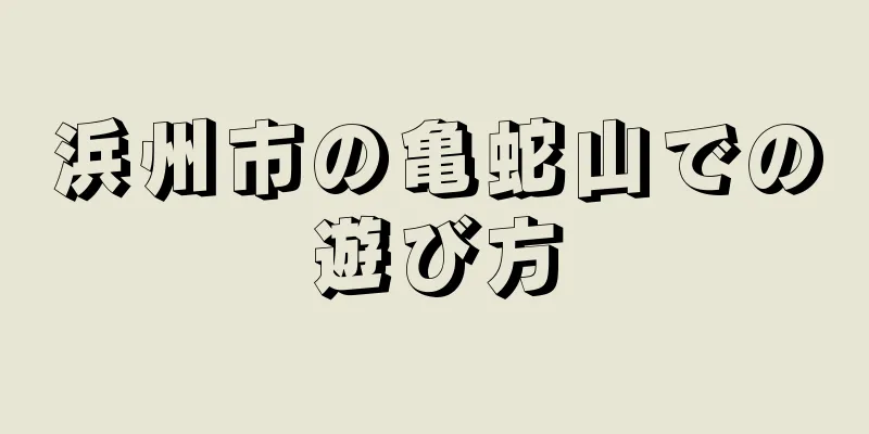 浜州市の亀蛇山での遊び方