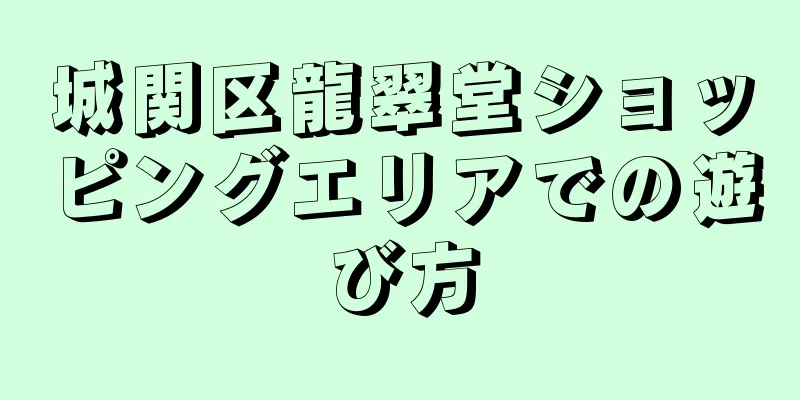 城関区龍翠堂ショッピングエリアでの遊び方
