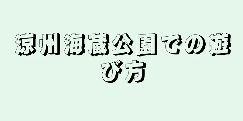 涼州海蔵公園での遊び方