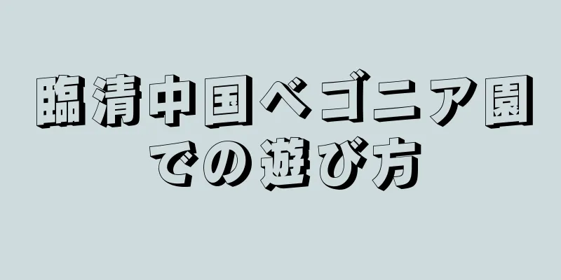 臨清中国ベゴニア園での遊び方