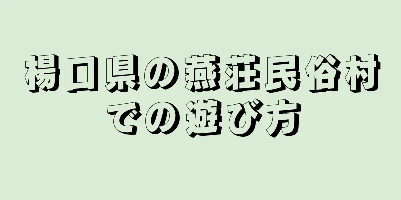 楊口県の燕荘民俗村での遊び方