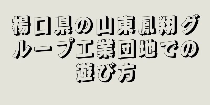 楊口県の山東鳳翔グループ工業団地での遊び方