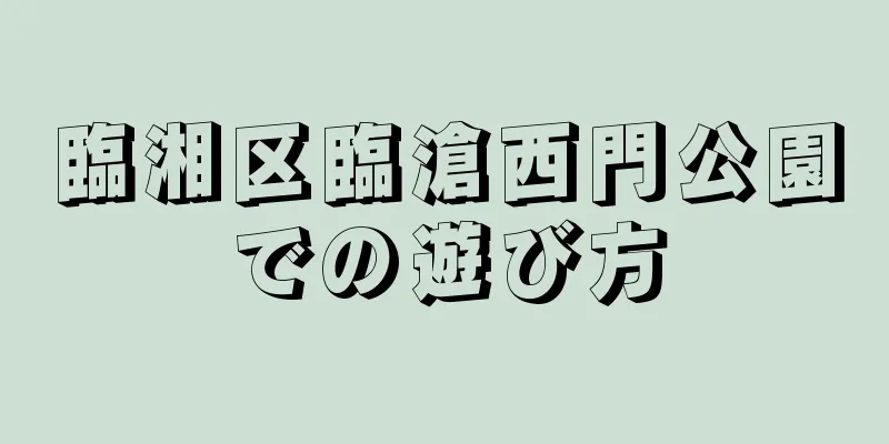 臨湘区臨滄西門公園での遊び方