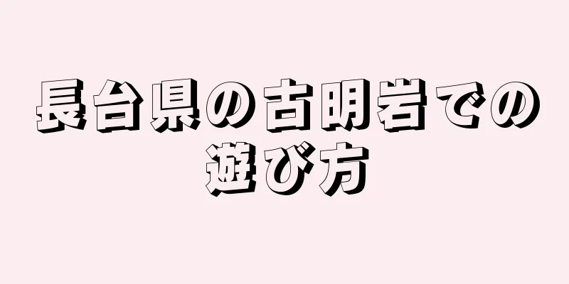 長台県の古明岩での遊び方
