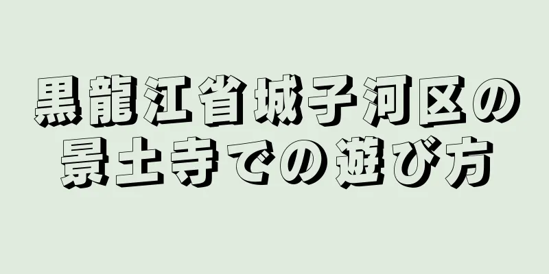 黒龍江省城子河区の景土寺での遊び方