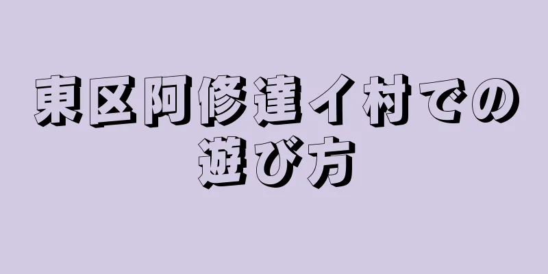 東区阿修達イ村での遊び方