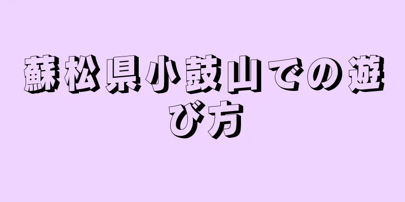 蘇松県小鼓山での遊び方